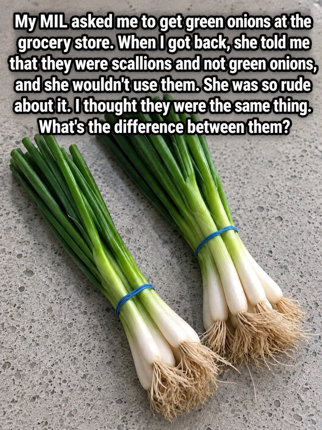 Scaliions Difference Between Green Onions, Scallions, Spring Onions and Chives
