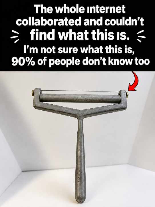 The Mysterious Tool That Had the Internet Guessing