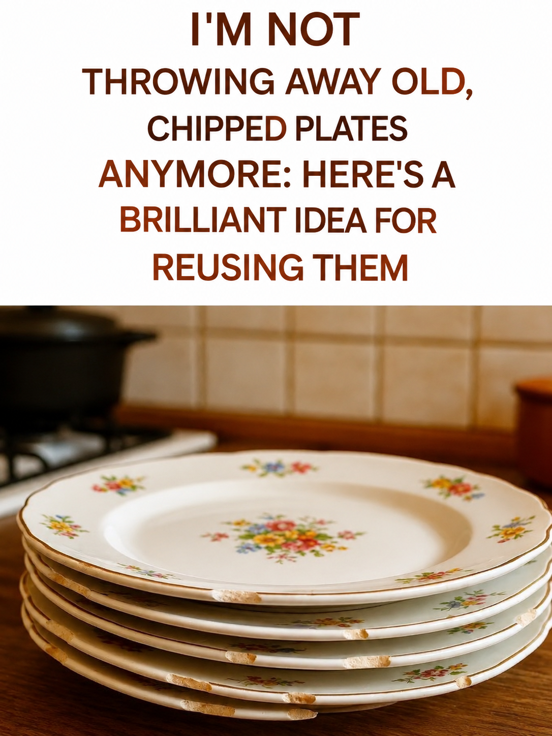 How to Reuse Old Plates: The Original Idea